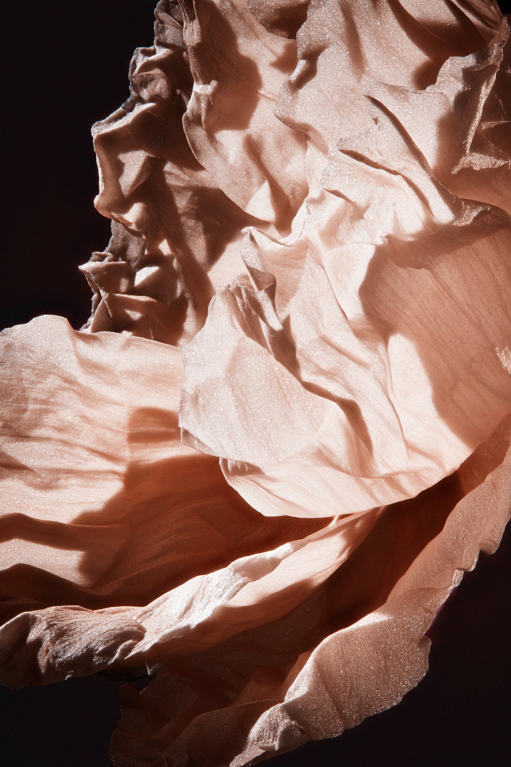 The quiet architecture of a natural form, Formation by Hannah Caldwell