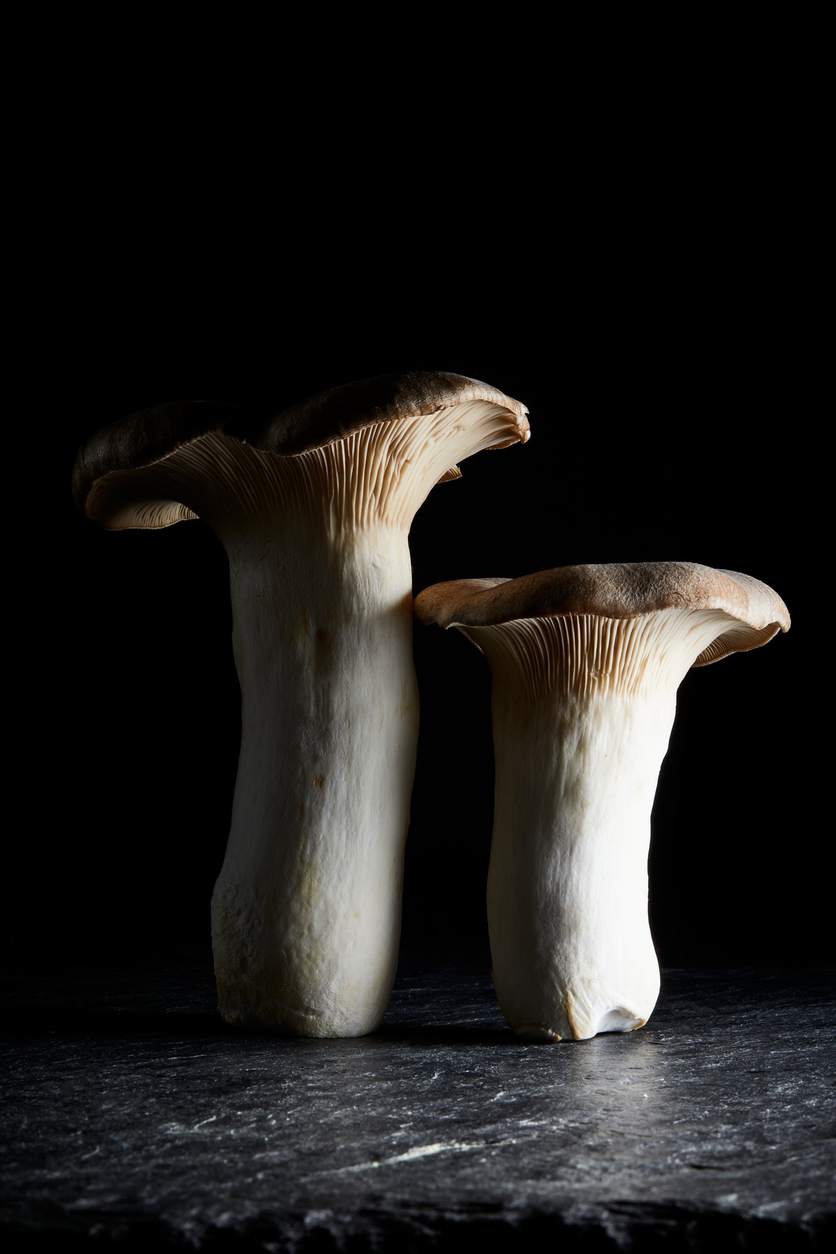 Two king oyster mushrooms standing together on dark stone, Fungi by Hannah Caldwell
