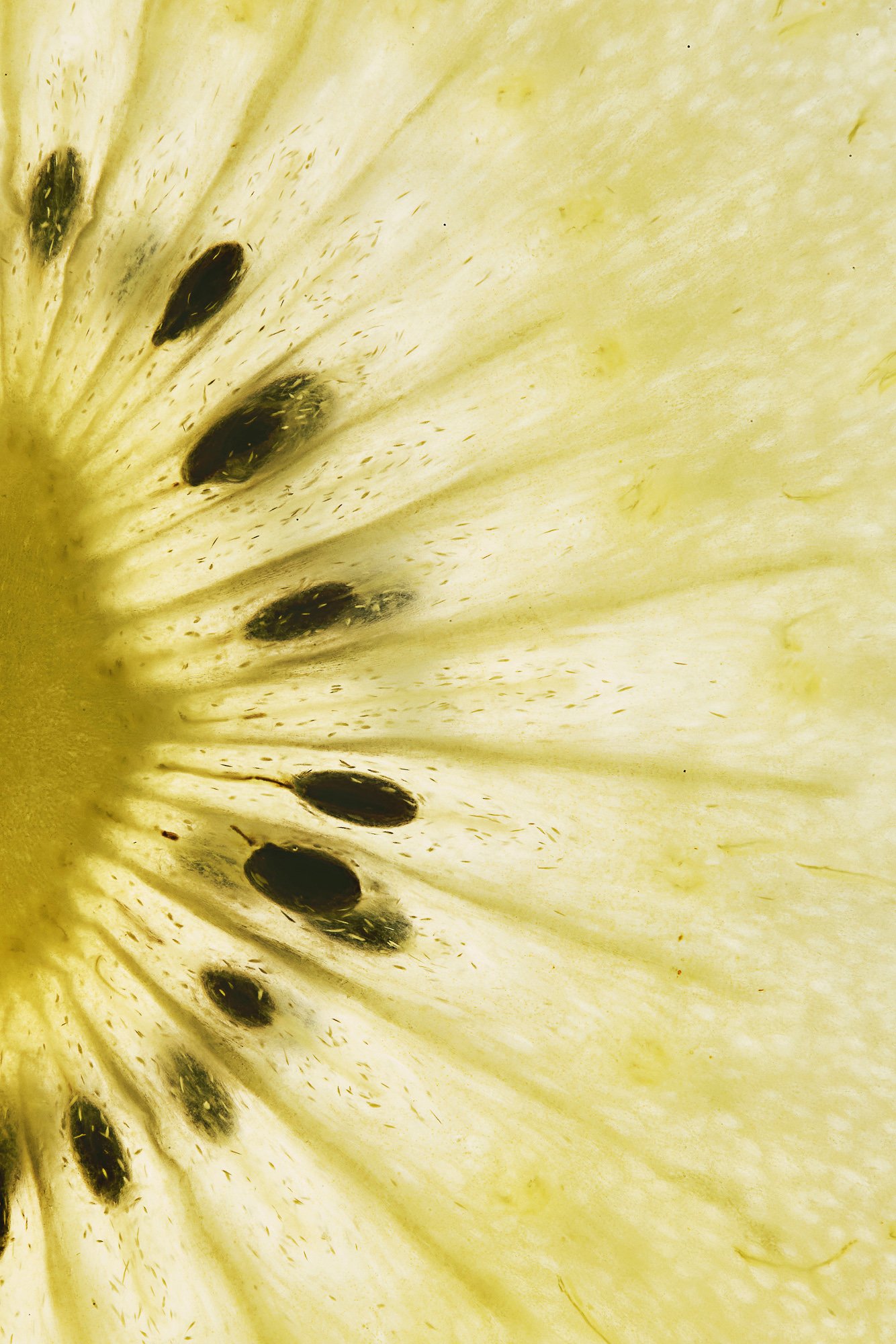A kiwifruit cut to reveal its seeds, Inside Out by Hannah Caldwell