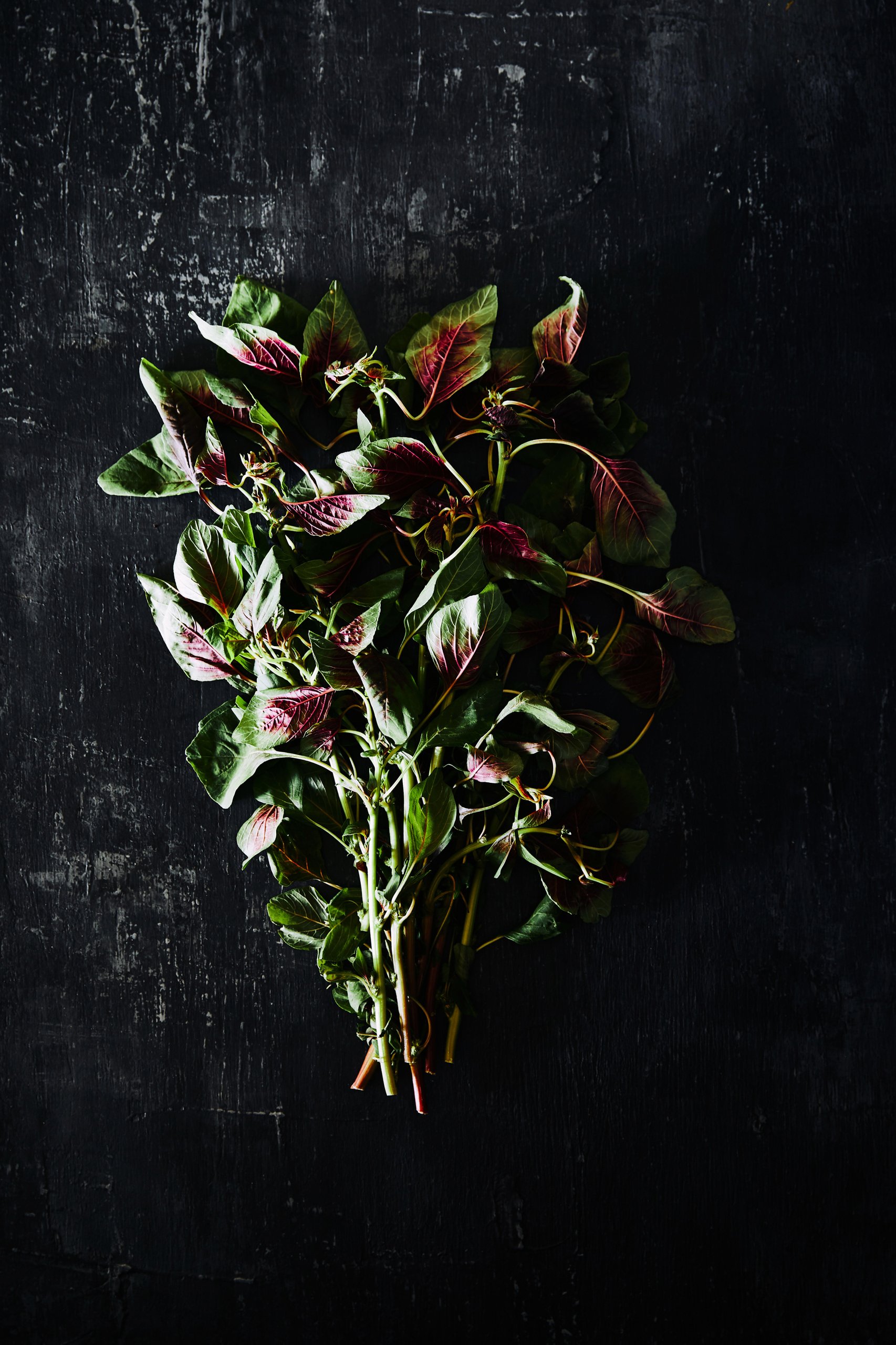 A bunch of red veined amaranth leaves, RAW by Hannah Caldwell