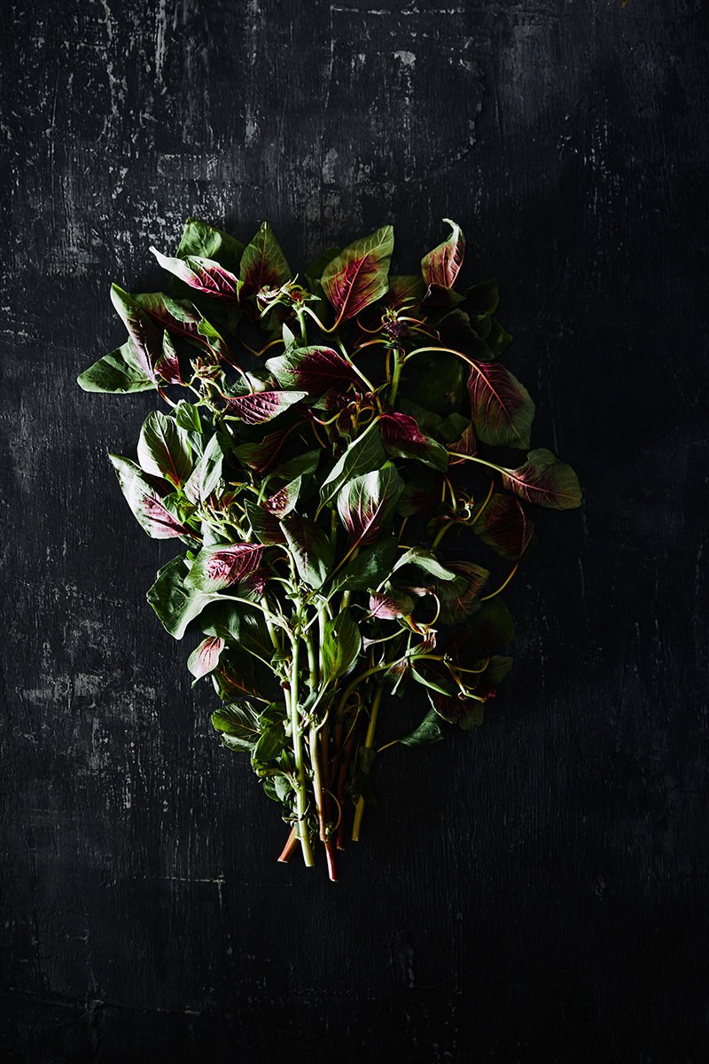 A bunch of red veined amaranth leaves, RAW by Hannah Caldwell