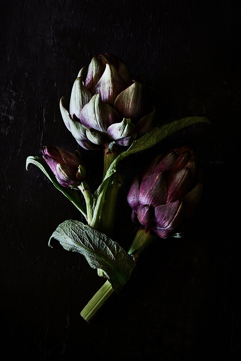 Purple artichokes with their stems and leaves, from RAW by Hannah Caldwell