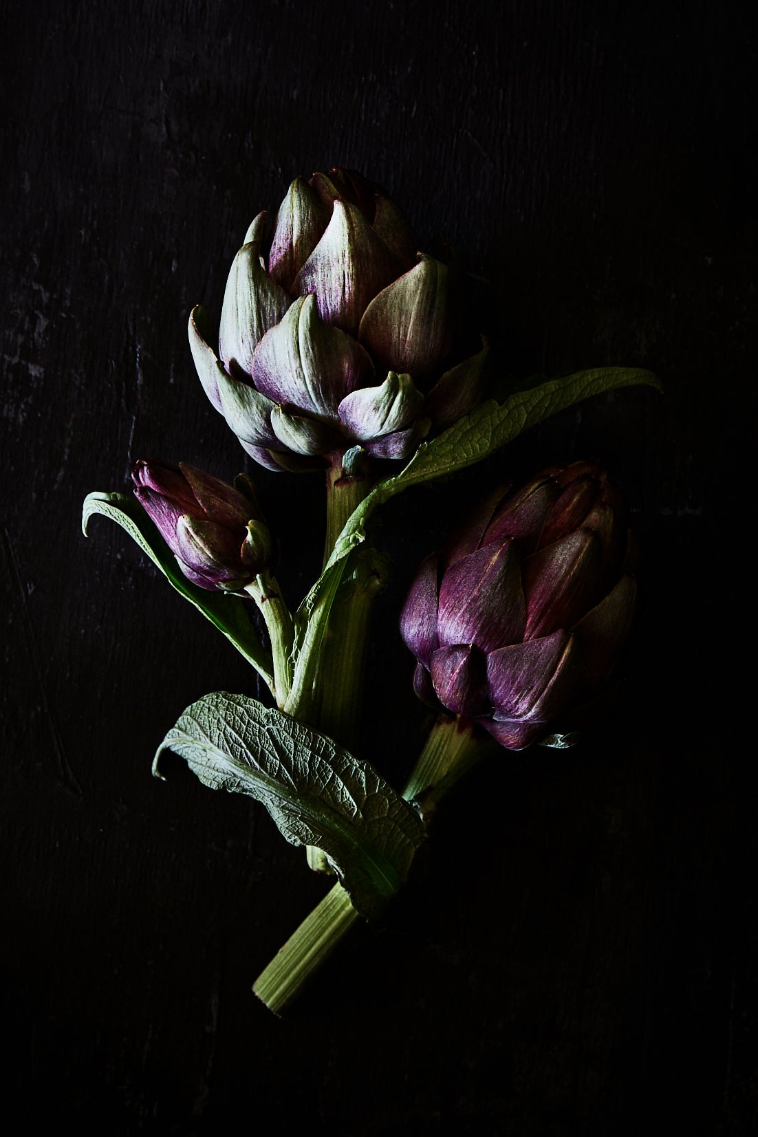 Purple artichokes with their stems and leaves, from RAW by Hannah Caldwell