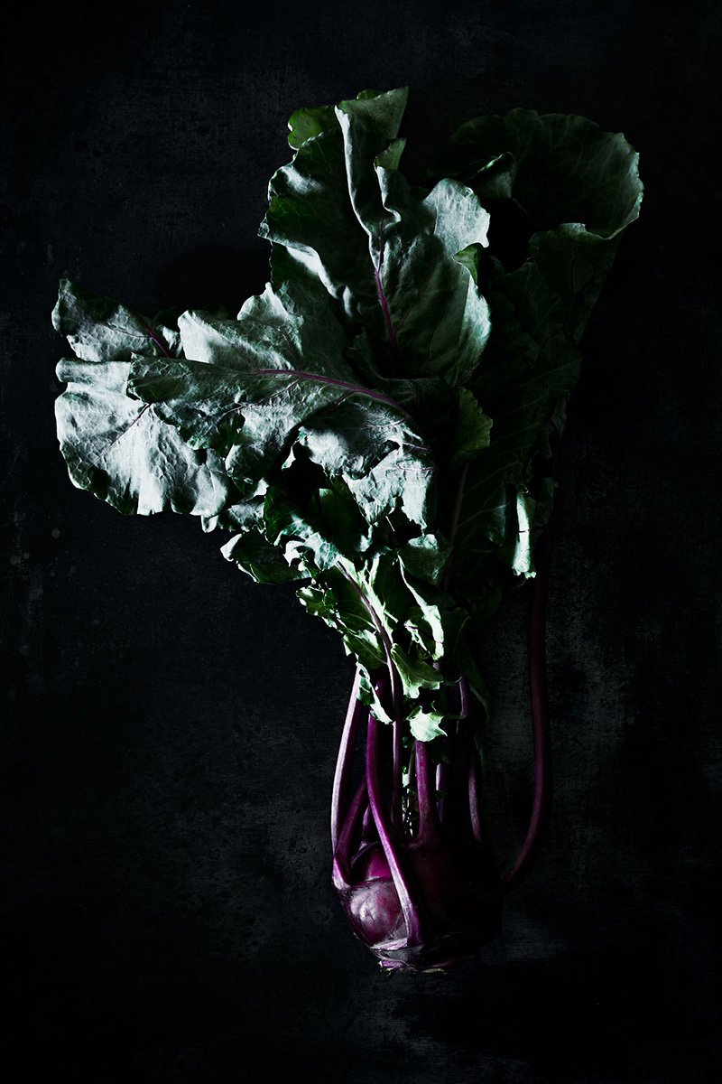 Blue green beet leaves on crimson stems, RAW by Hannah Caldwell