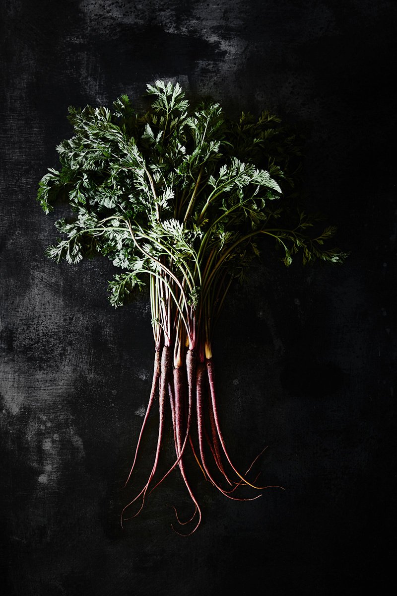 Fine green carrot tops bunched against black, RAW by Hannah Caldwell