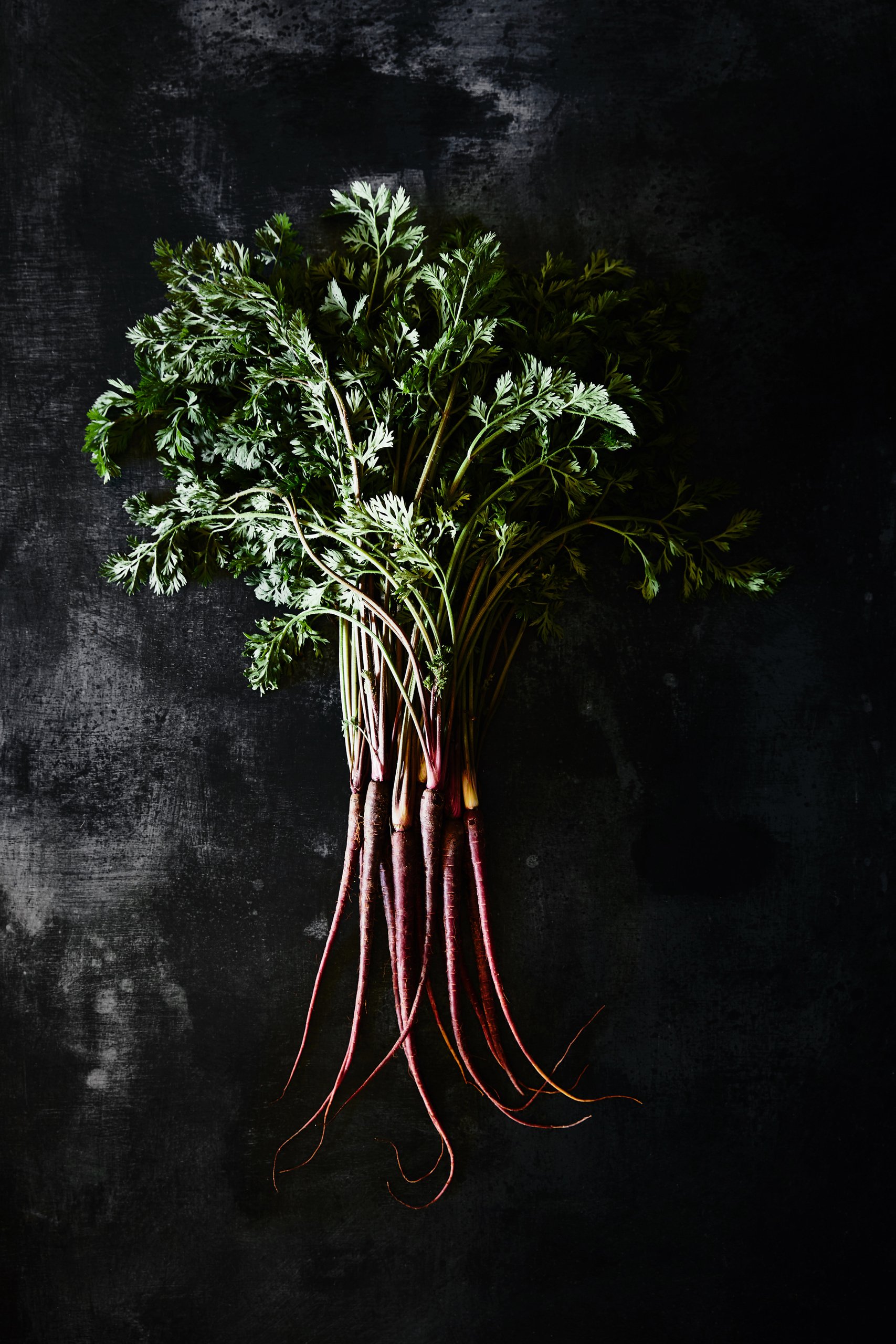 Fine green carrot tops bunched against black, RAW by Hannah Caldwell
