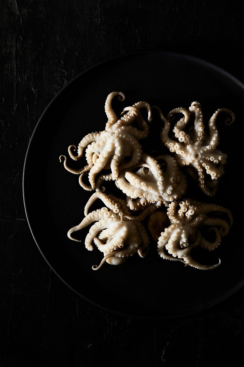 Baby octopus arranged on a dark plate, RAW by Hannah Caldwell
