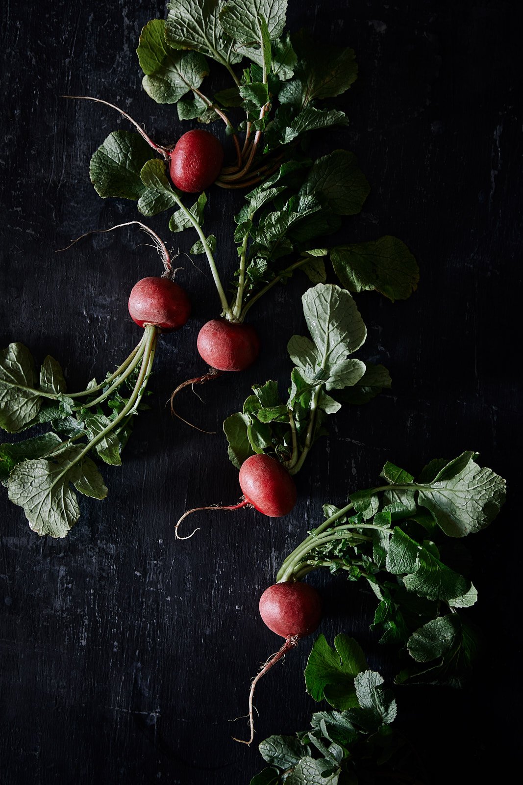 Radishes with their leaves on a dark board, RAW by Hannah Caldwell
