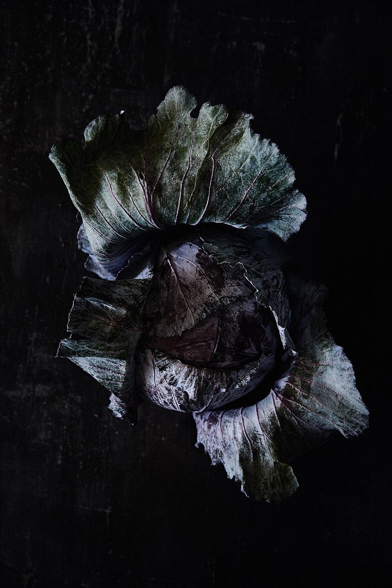 A red cabbage opened to its inner leaves, RAW by Hannah Caldwell