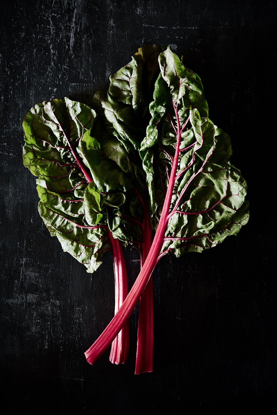 Rainbow chard with crimson stems, RAW by Hannah Caldwell