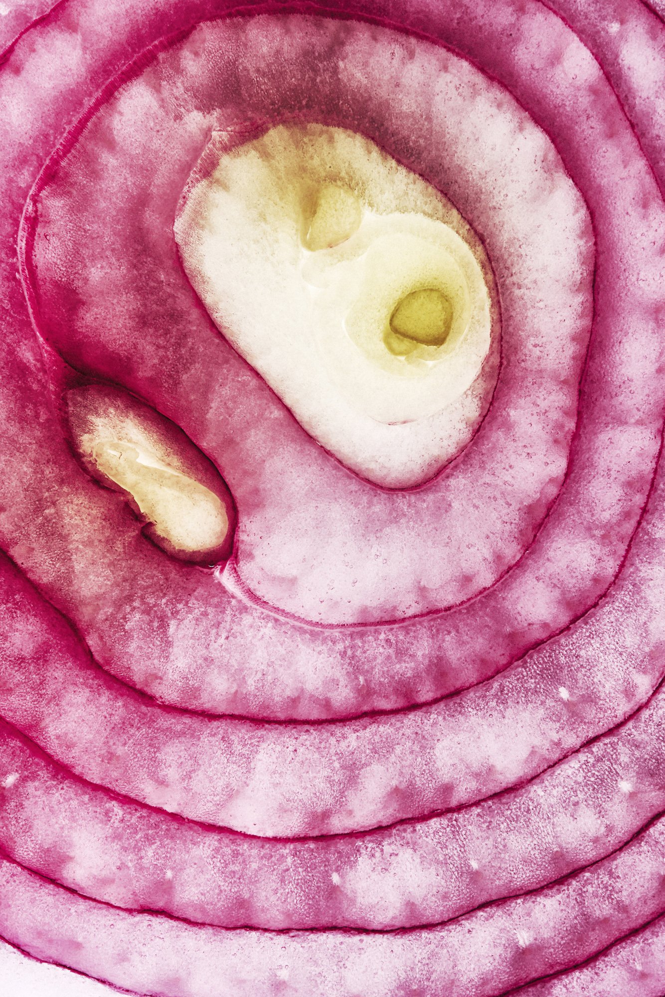 A red onion, its papery skin catching the light, from Inside Out by Hannah Caldwell