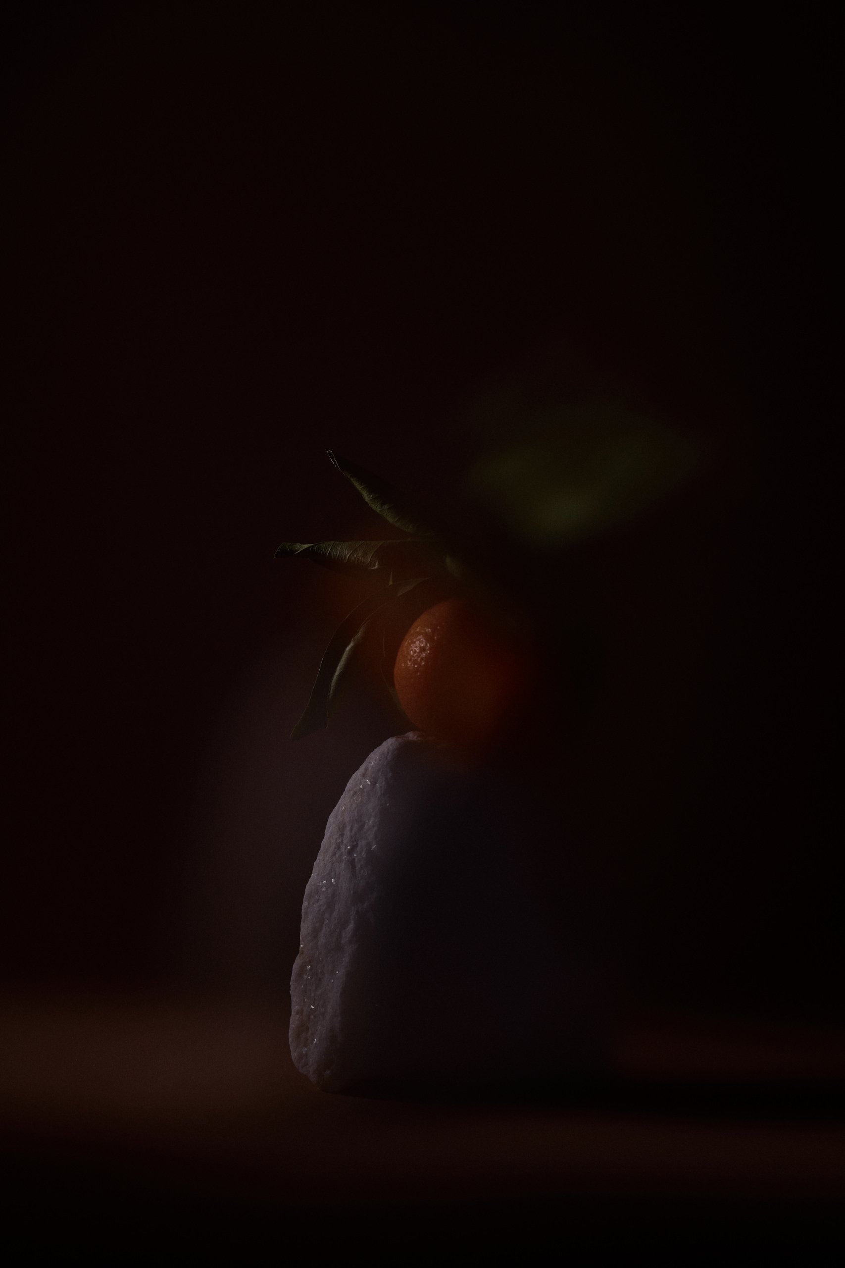A kohlrabi still on darkened stone, Threshold by Hannah Caldwell