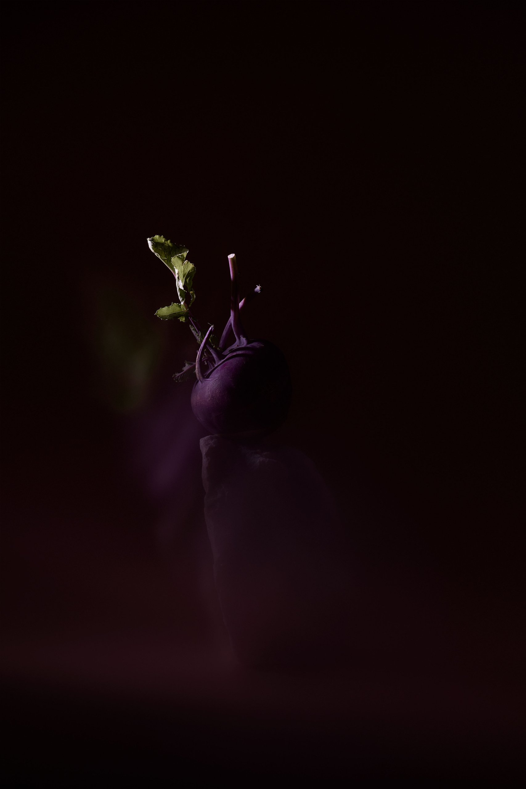 A purple kohlrabi with leaves above a pale stone, movement trailing down the frame, Threshold by Hannah Caldwell